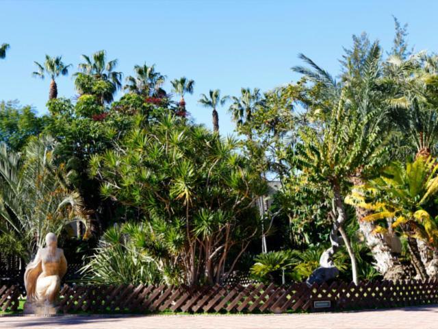 Las Palmeras Almunecar Ngoại thất bức ảnh